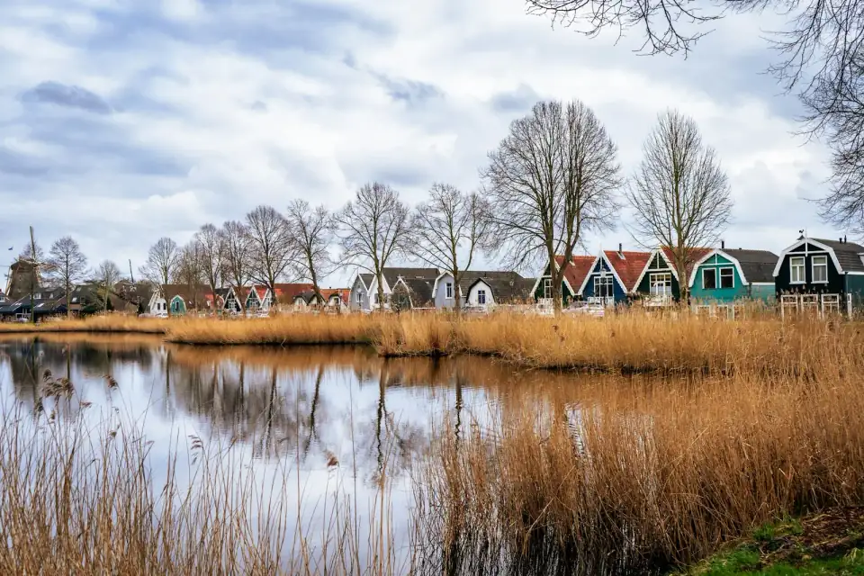 Rij huizen met pannendaken achter riet en water, in Weesp in de herfst